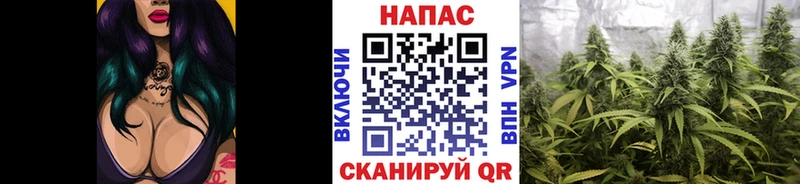 Каннабис AK-47  Купить  Кемь 